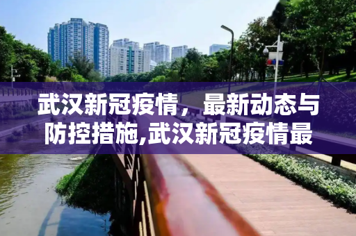 武汉新冠疫情，最新动态与防控措施,武汉新冠疫情最新消息