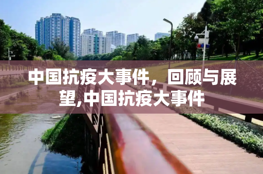 中国抗疫大事件，回顾与展望,中国抗疫大事件