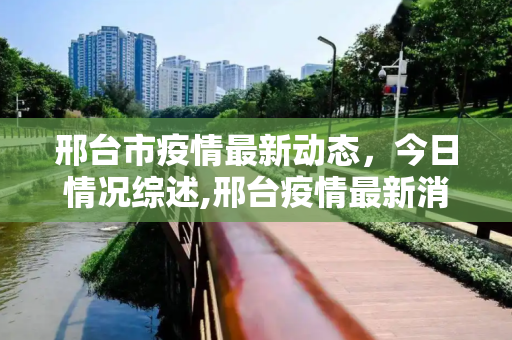 邢台市疫情最新动态，今日情况综述,邢台疫情最新消息今天
