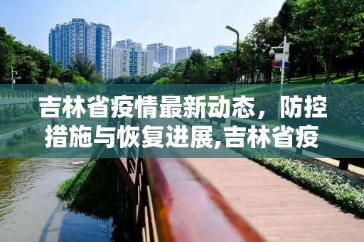吉林省疫情最新动态，防控措施与恢复进展,吉林省疫情的最新消息