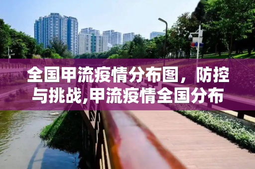 全国甲流疫情分布图，防控与挑战,甲流疫情全国分布图