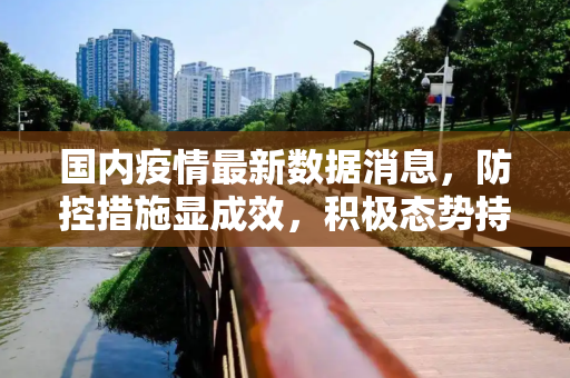 国内疫情最新数据消息，防控措施显成效，积极态势持续,国内疫情最新数据消息