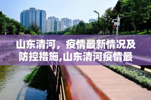 山东清河，疫情最新情况及防控措施,山东清河疫情最新情况