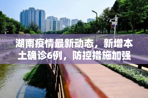 湖南疫情最新动态，新增本土确诊6例，防控措施加强,湖南新增本土确诊6例