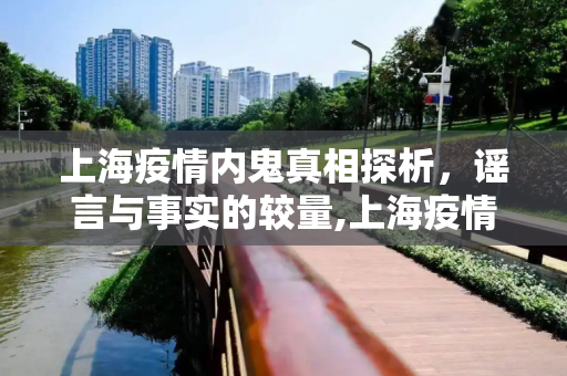 上海疫情内鬼真相探析，谣言与事实的较量,上海疫情内鬼真相探析