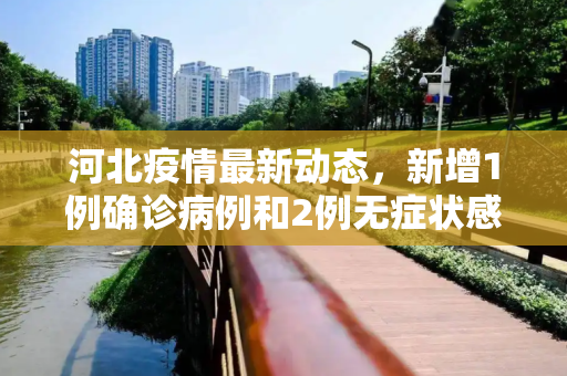 河北疫情最新动态，新增1例确诊病例和2例无症状感染者,河北新增确诊病例1例无症状感染者2例