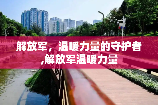 解放军，温暖力量的守护者,解放军温暖力量