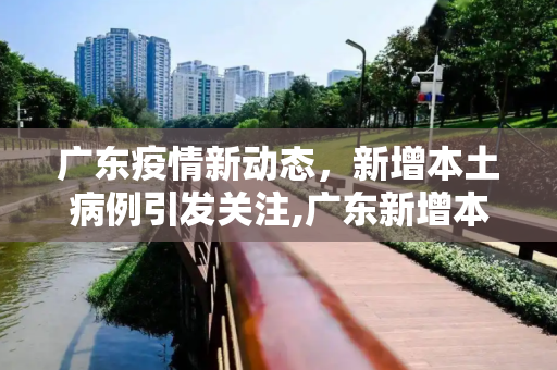 广东疫情新动态，新增本土病例引发关注,广东新增本土病例