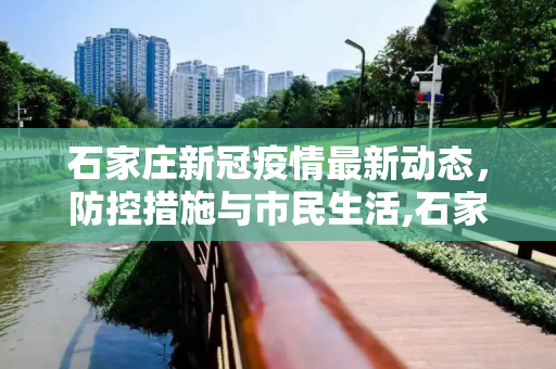 石家庄新冠疫情最新动态，防控措施与市民生活,石家庄新冠疫情最新消息