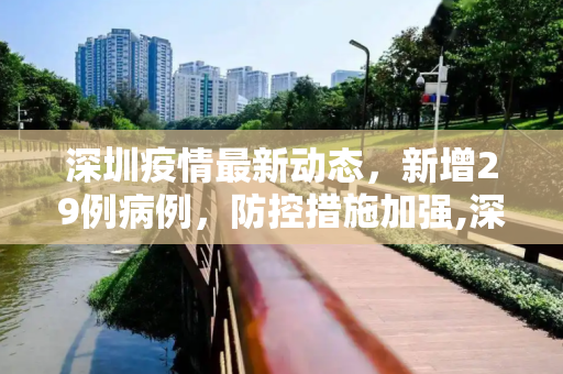 深圳疫情最新动态，新增29例病例，防控措施加强,深圳新增29例病例