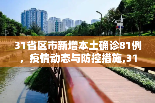 31省区市新增本土确诊81例，疫情动态与防控措施,31省区市新增本土确诊81例