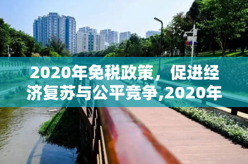 2020年免税政策，促进经济复苏与公平竞争,2020年免税政策