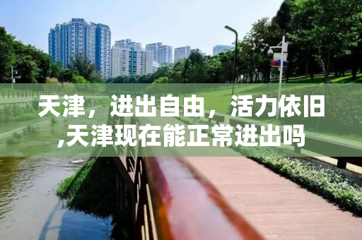 天津，进出自由，活力依旧,天津现在能正常进出吗