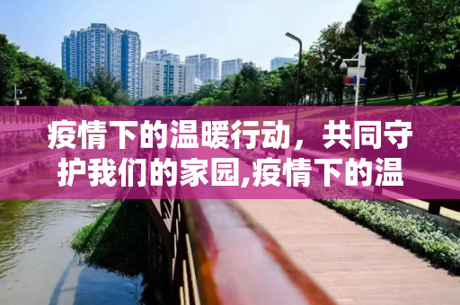 疫情下的温暖行动，共同守护我们的家园,疫情下的温暖行动