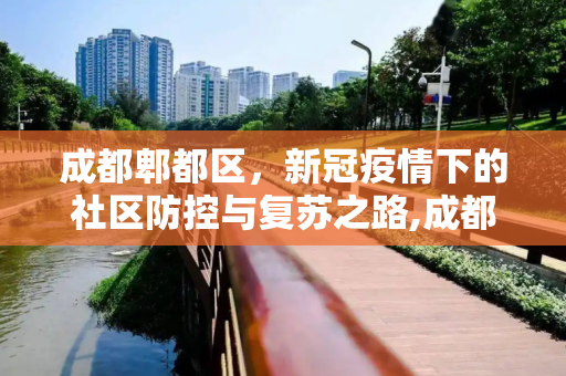 成都郫都区，新冠疫情下的社区防控与复苏之路,成都郫都区新冠