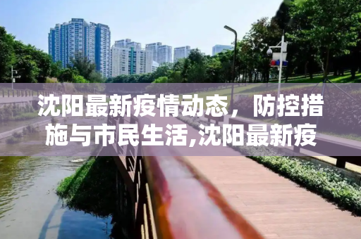 沈阳最新疫情动态，防控措施与市民生活,沈阳最新疫情