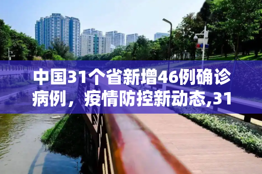中国31个省新增46例确诊病例，疫情防控新动态,31个省新增46例确诊病例