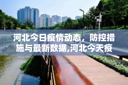 河北今日疫情动态，防控措施与最新数据,河北今天疫情最新消息