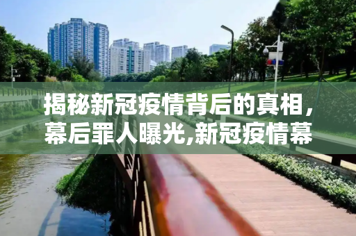 揭秘新冠疫情背后的真相，幕后罪人曝光,新冠疫情幕后罪人曝光