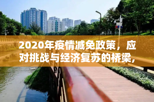 2020年疫情减免政策，应对挑战与经济复苏的桥梁,2020年疫情减免政策
