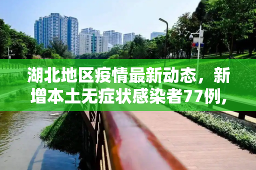 湖北地区疫情最新动态，新增本土无症状感染者77例,湖北新增本土无症状77例