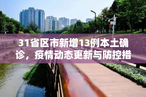 31省区市新增13例本土确诊，疫情动态更新与防控措施,31省区市新增13例本土确诊