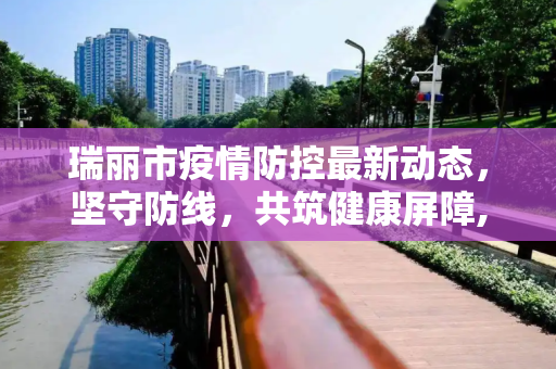 瑞丽市疫情防控最新动态，坚守防线，共筑健康屏障,瑞丽市疫情防控最新消息