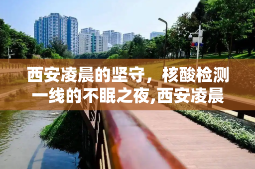 西安凌晨的坚守，核酸检测一线的不眠之夜,西安凌晨核酸