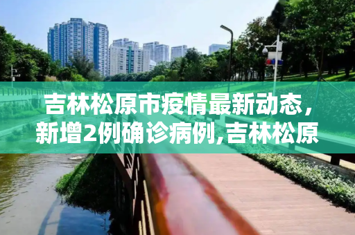 吉林松原市疫情最新动态，新增2例确诊病例,吉林松原市新增2例确诊
