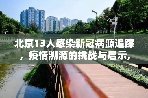 北京13人感染新冠病源追踪，疫情溯源的挑战与启示,北京13人感染新冠病源来自何处?