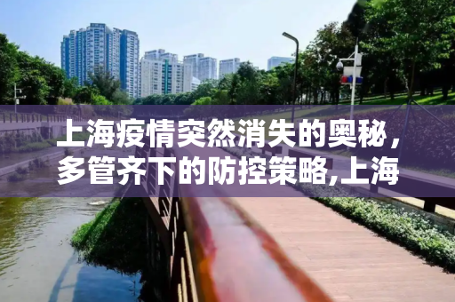 上海疫情突然消失的奥秘，多管齐下的防控策略,上海疫情突然消失的原因