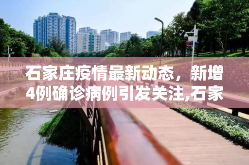 石家庄疫情最新动态，新增4例确诊病例引发关注,石家庄新增4例确诊