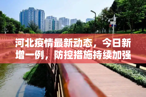 河北疫情最新动态，今日新增一例，防控措施持续加强,包含河北疫情最新消息今天新增一例的词条