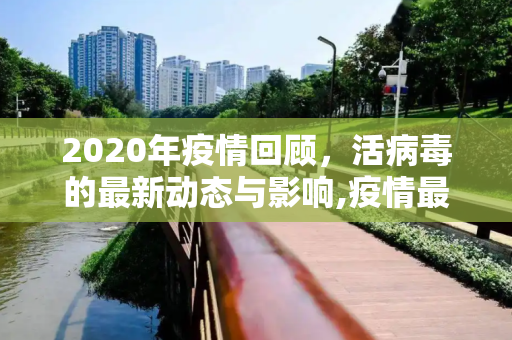 2020年疫情回顾，活病毒的最新动态与影响,疫情最新活病毒:最新病毒疫情2020