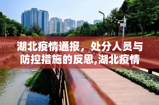 湖北疫情通报，处分人员与防控措施的反思,湖北疫情通报处分人员