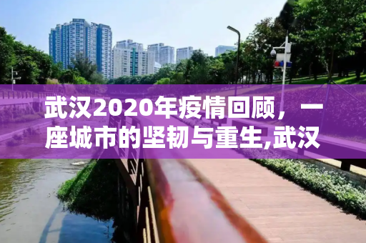 武汉2020年疫情回顾，一座城市的坚韧与重生,武汉2020疫情回顾