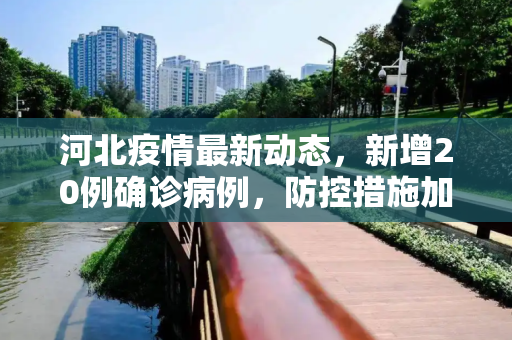 河北疫情最新动态，新增20例确诊病例，防控措施加强,河北新增20例确诊