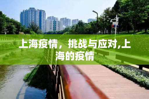 上海疫情，挑战与应对,上海的疫情