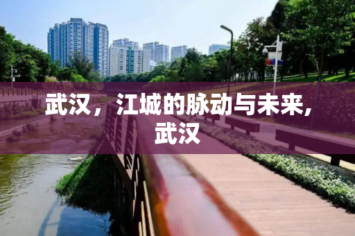武汉，江城的脉动与未来,武汉