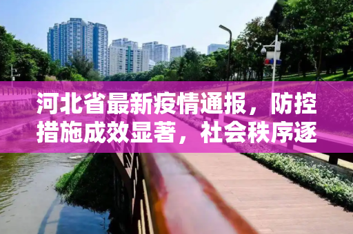 河北省最新疫情通报，防控措施成效显著，社会秩序逐步恢复,河北省最新疫情通报