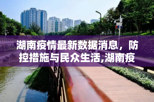 湖南疫情最新数据消息，防控措施与民众生活,湖南疫情最新数据消息