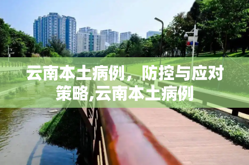 云南本土病例，防控与应对策略,云南本土病例