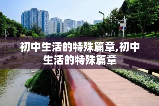 初中生活的特殊篇章,初中生活的特殊篇章