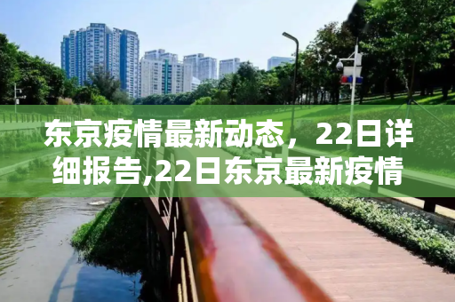 东京疫情最新动态，22日详细报告,22日东京最新疫情明细
