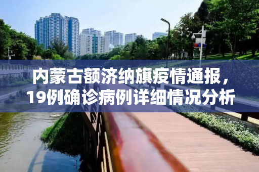 内蒙古额济纳旗疫情通报，19例确诊病例详细情况分析,内蒙古额济纳旗通报19例确诊详情