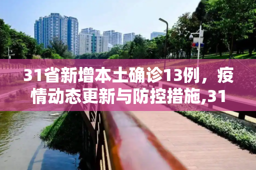 31省新增本土确诊13例，疫情动态更新与防控措施,31省新增本土确诊13例