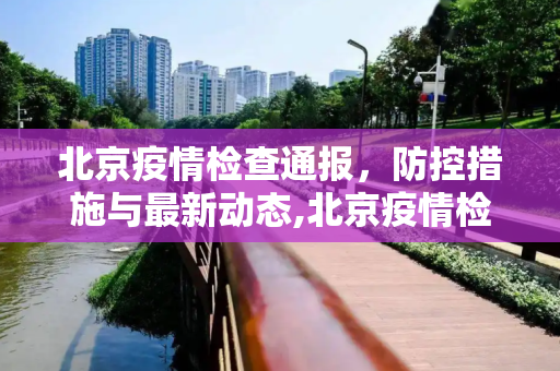 北京疫情检查通报，防控措施与最新动态,北京疫情检查通报