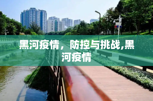 黑河疫情，防控与挑战,黑河疫情