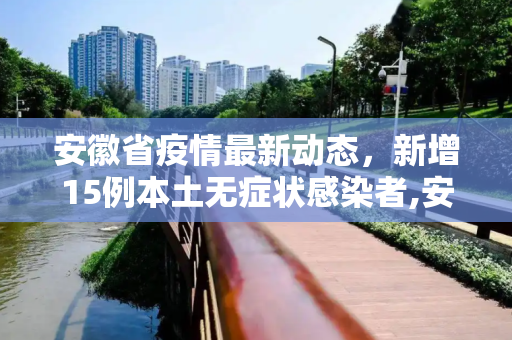 安徽省疫情最新动态，新增15例本土无症状感染者,安徽新增15例本土无症状