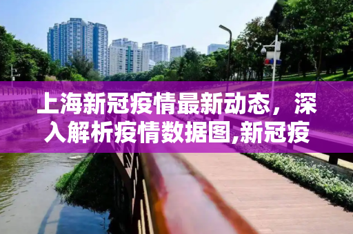 上海新冠疫情最新动态，深入解析疫情数据图,新冠疫情上海最新消息:上海新冠疫情最新数据图